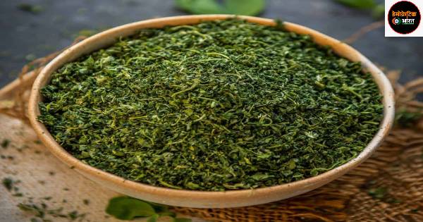 मेथी मतलब ‘कसूरी मेथी’, 90% लोगों को नहीं पता होगा सही जवाब