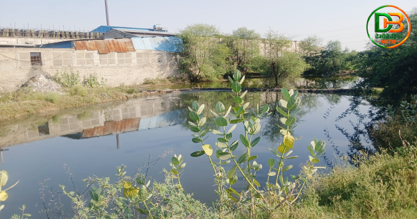 CETP डायरेक्टर प्रवीण शाह की गंवार ब्राह्मणान स्थित रंगाई-छपाई फैक्ट्री के पीछे भरा हुआ कैमिकल वाला जहरीला पानी।
