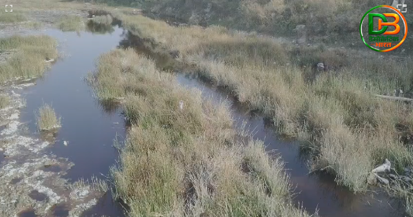सीईटीपी के प्लांट के सामने से नेवटा फीडर में छोड़े जाने वाला जहरीला पानी खेतों में भी जाता है और भूमि को बंजर बना रहा है।